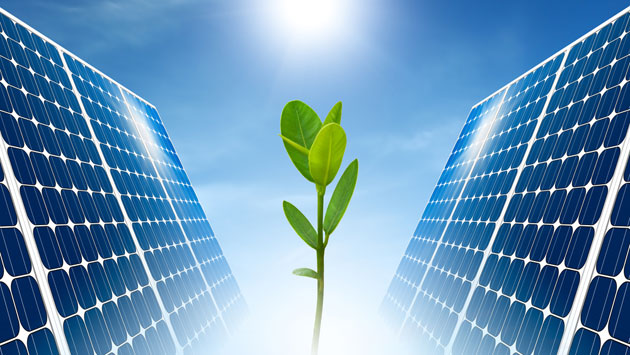 Solar_Energy_with_Plant