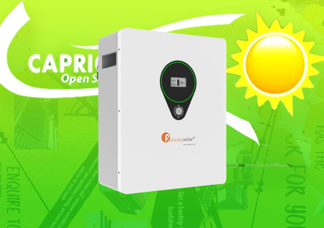 Felicity 100ah 24v 2.5kwh Lithium battery