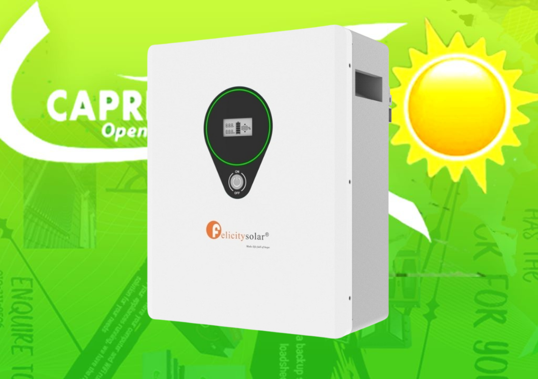 Felicity 100ah 24v 2.5kwh Lithium battery - Image 2