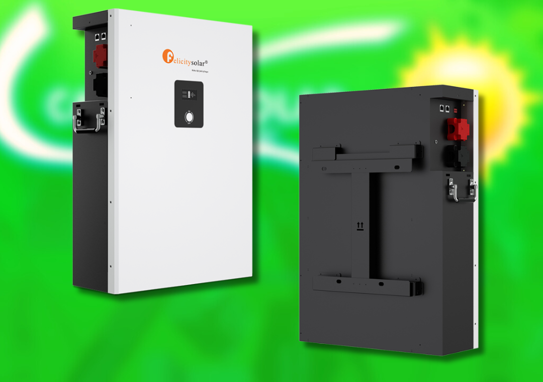 Felicity Solar 10kwh Lithium battery LPBF48200 - Image 2