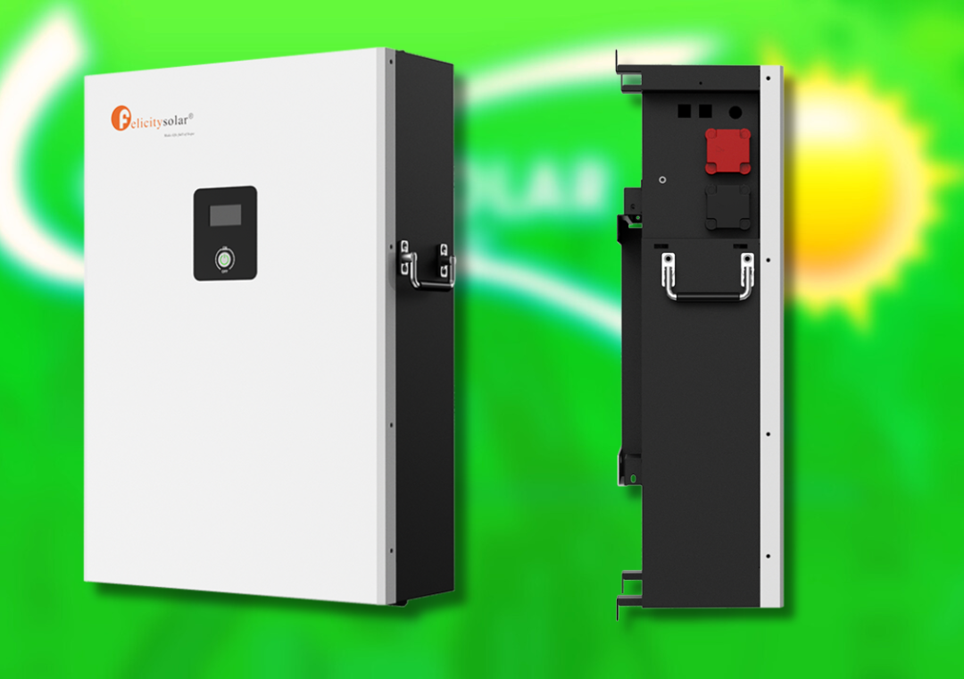 Felicity Solar 10kwh Lithium battery LPBF48200 - Image 4